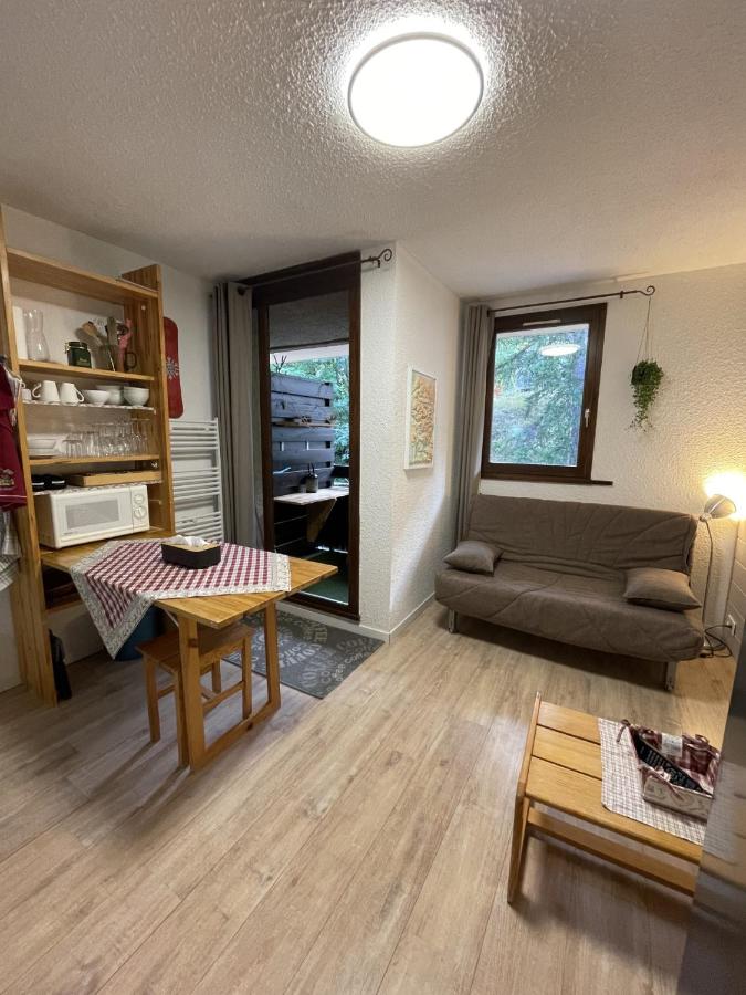 Studio cosy 1700 - B&B Puy-Saint-Vincent