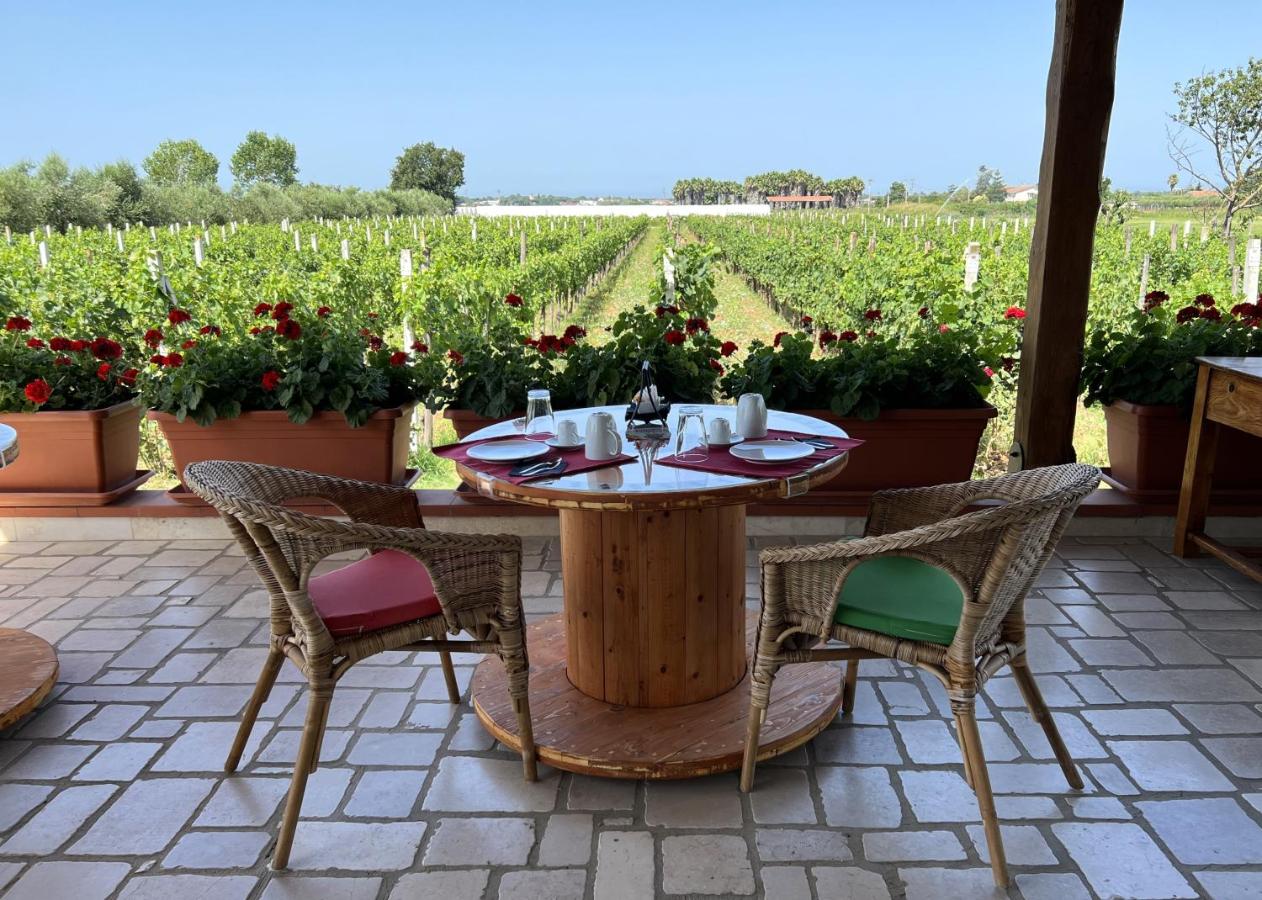 B & B Vigna Di Filippo - Paestum - B&B