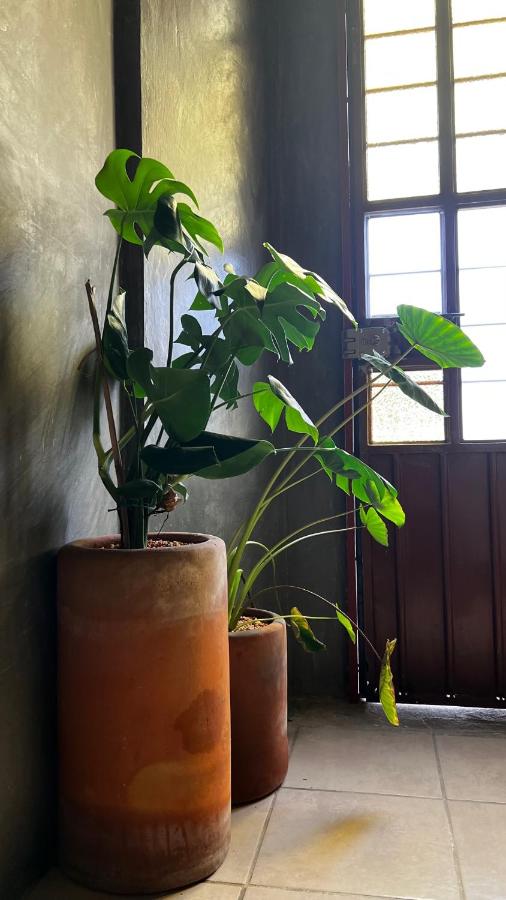 CASA PATO - B&B Oaxaca