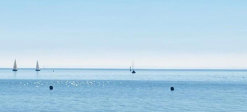 Storchennest am Dümmer - Chambres d’hôtes Lembruch