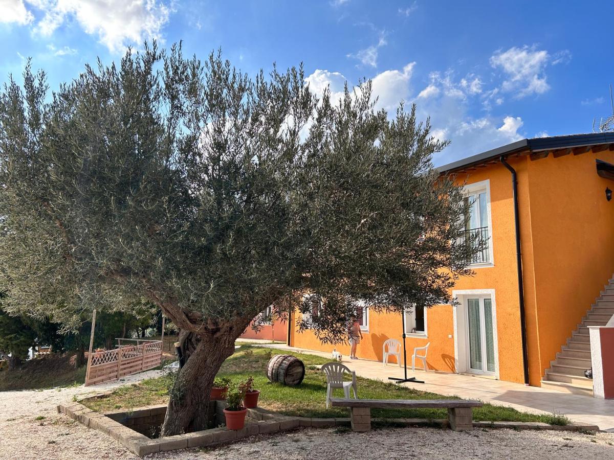 B&B San Severino Marche - Agriturismo Collamato - Bed and Breakfast San Severino Marche