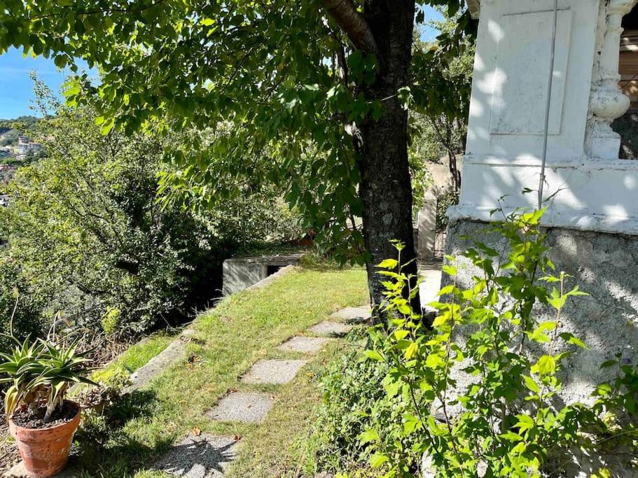 Villa storica del 1800 - Bed and Breakfast Uscio