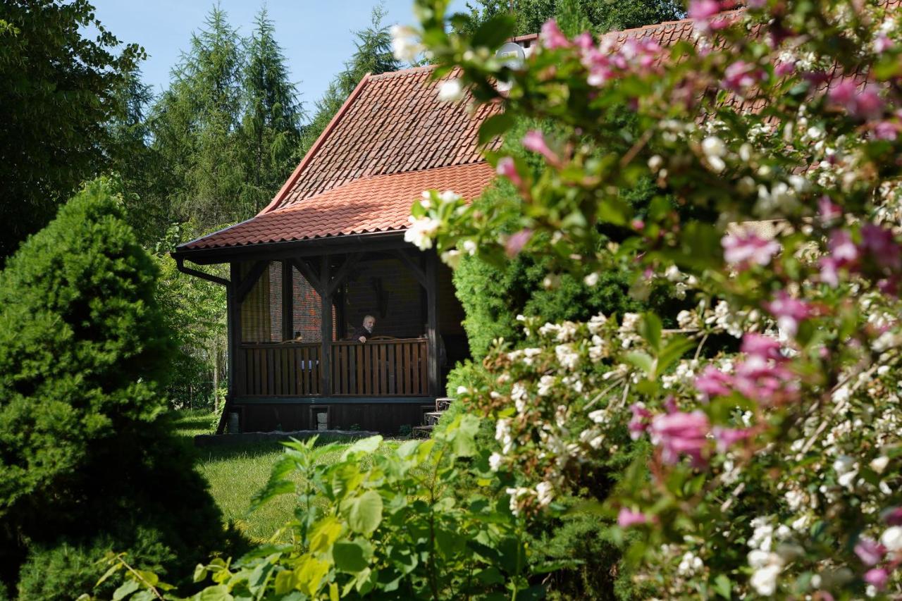 B&B Bartoszyce - Siedlisko Otulenie - Bed and Breakfast Bartoszyce