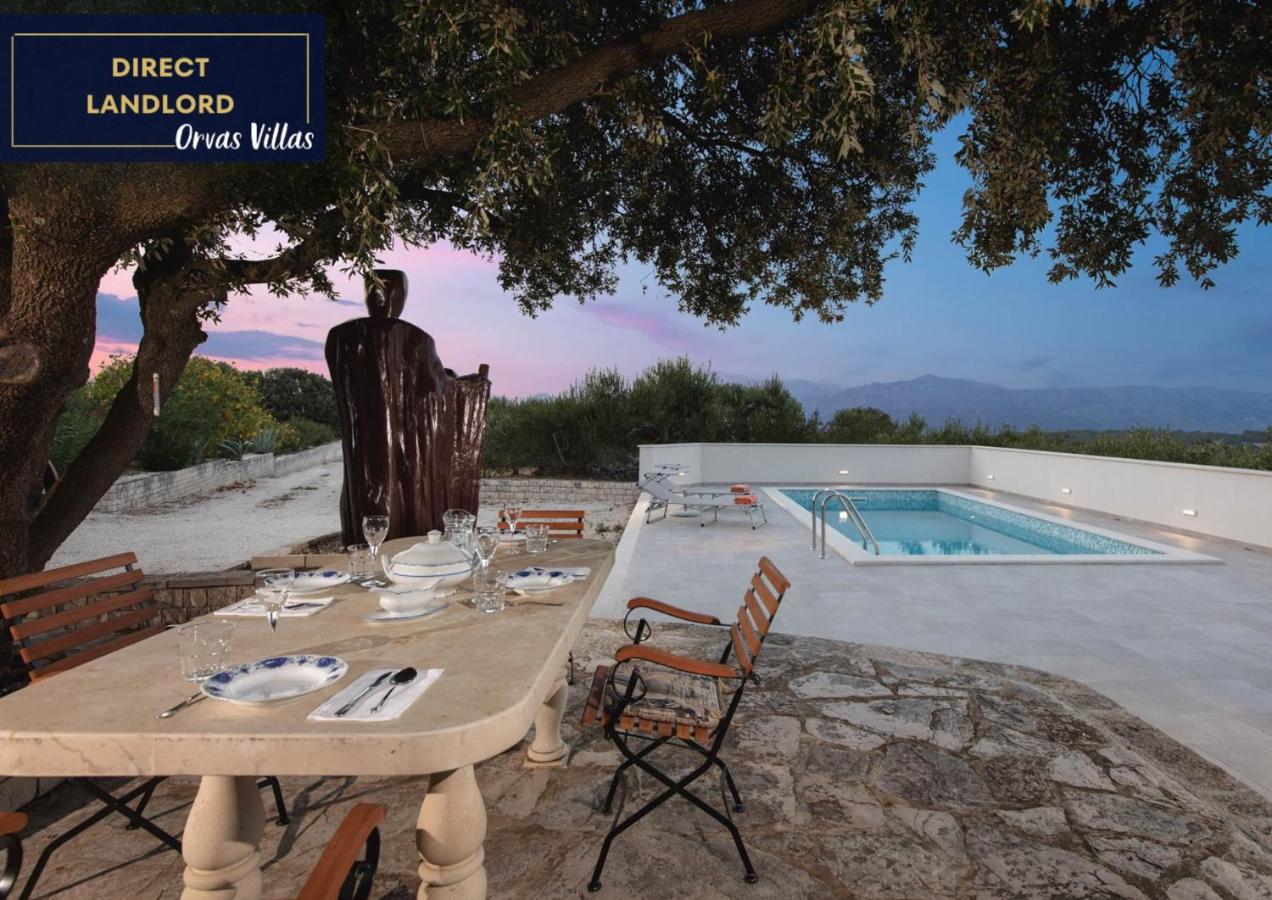 Villa Dubrava Tranquil Retreat Nestled in an Olive Grove for Serene Escapes - B&B