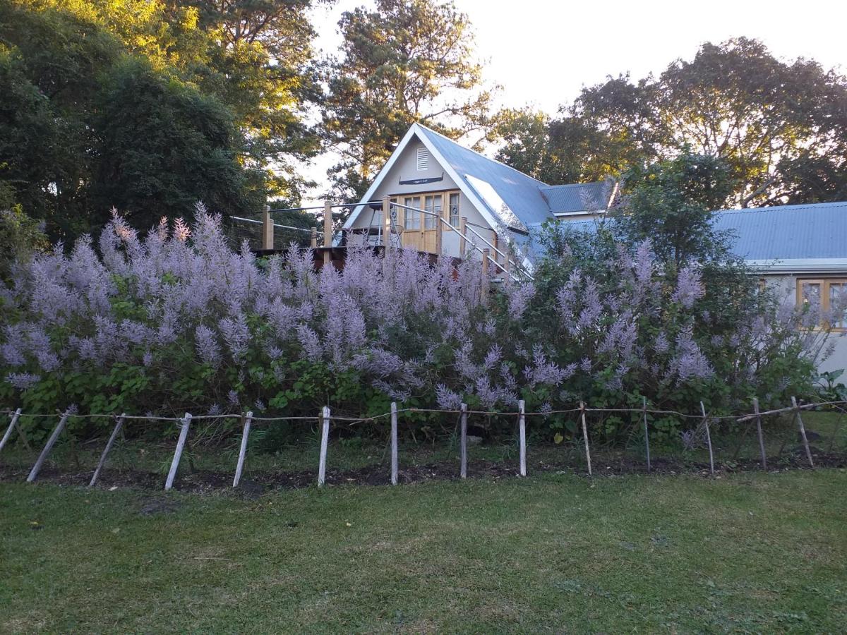 Loggers Loft - B&B Stormsrivier