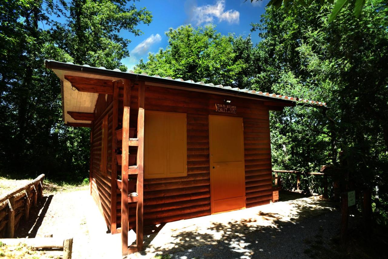 CHALET NEL BOSCO - TENUTA BOCCHINERI - B&B Rogliano