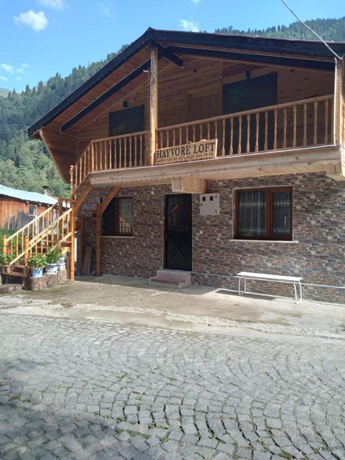 Nafkar Loft - B&B