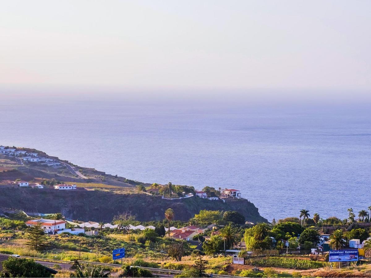 Live Victoria Santo Domingo - B&B La Victoria de Acentejo