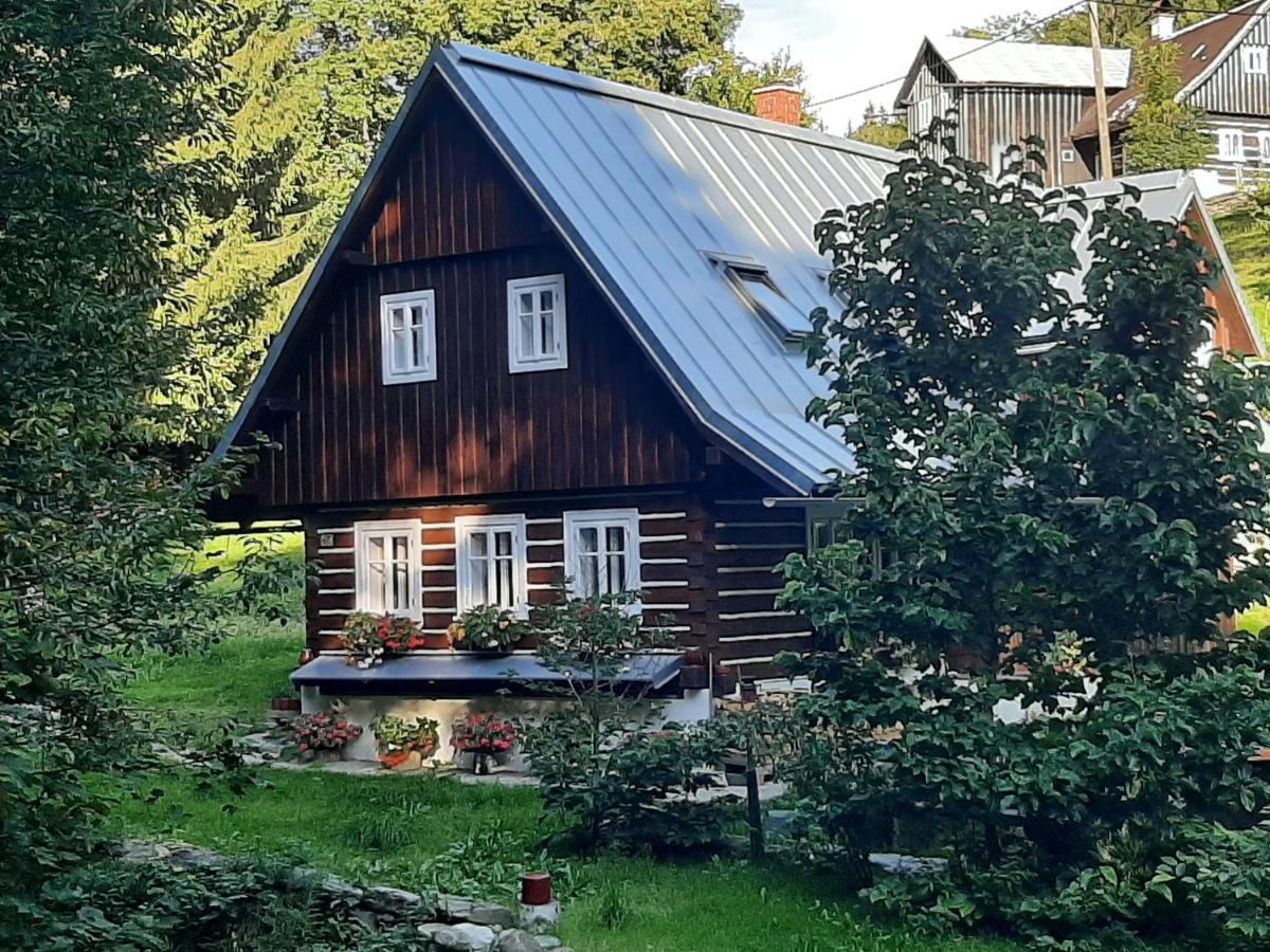 B&B Jablonec nad Jizerou - Bratrouchovský trpaslík - Bed and Breakfast Jablonec nad Jizerou