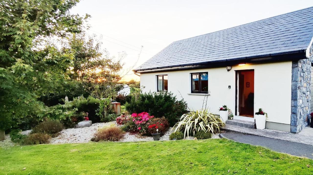 Butterfly Guesthouse - Entire Home within 5km of Galway City - Ferienwohnung