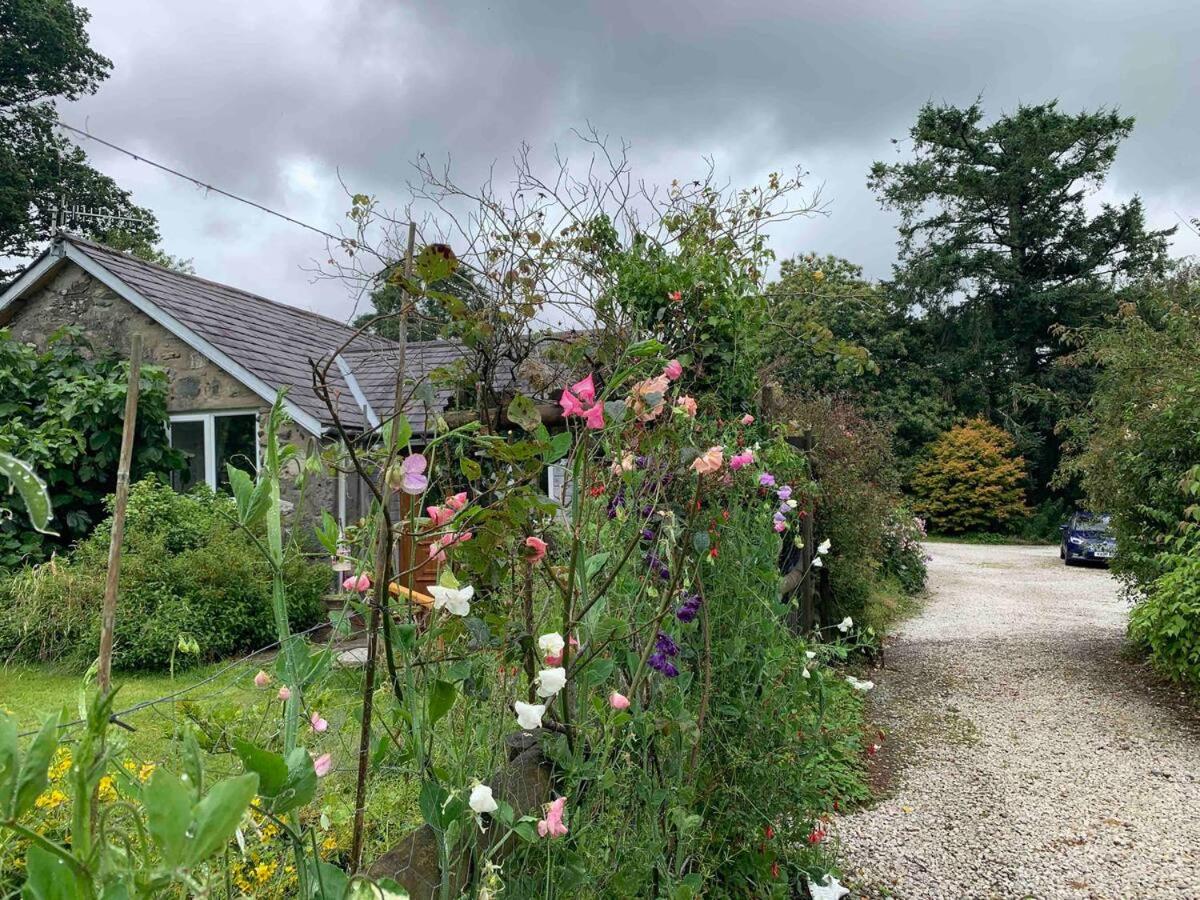 Cozy Cottage - Near Brew Pub / Snowdonia National Park. - B&B