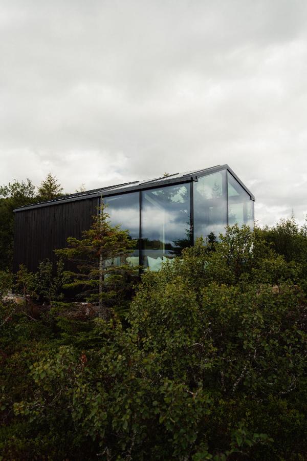 WonderInn Arctic - B&B
