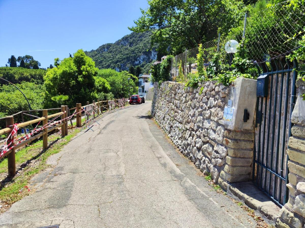 Ippocampo Blanc - B&B