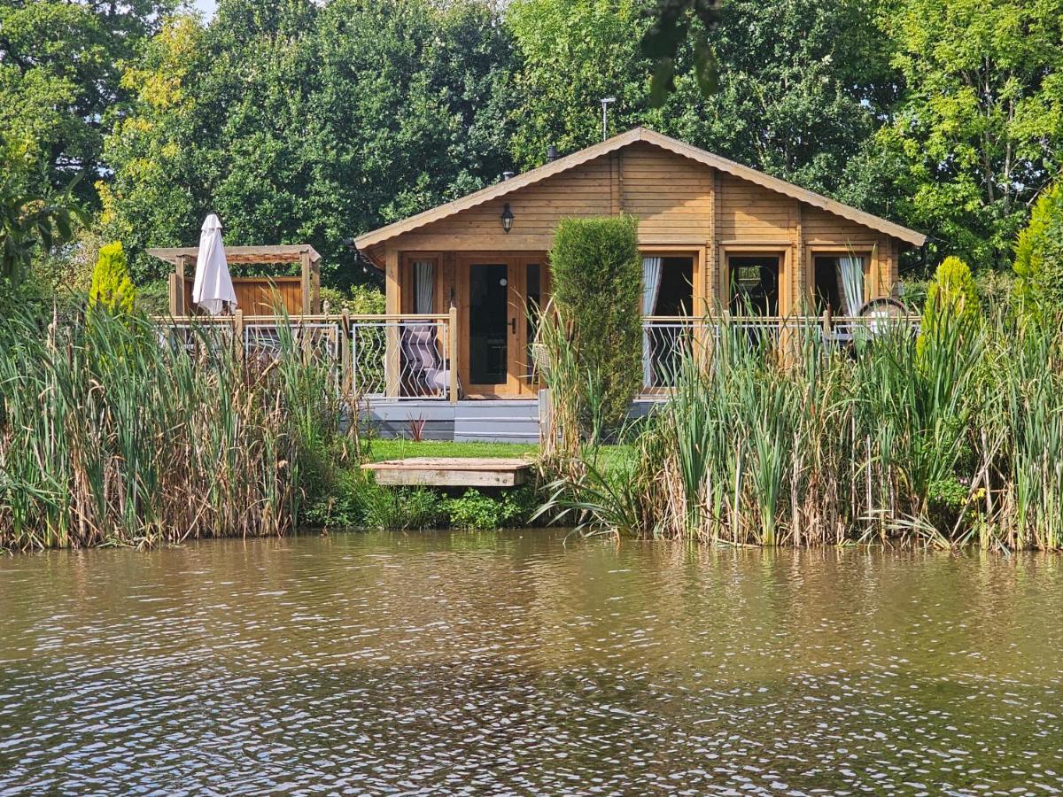 The Windsor Lodge - B&B