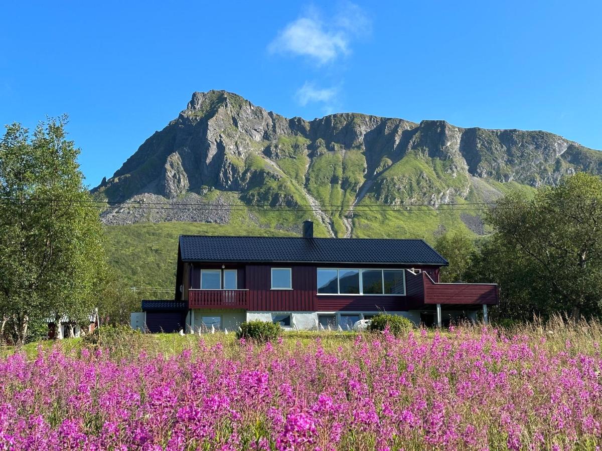 Lofoten Red Villa - B&B