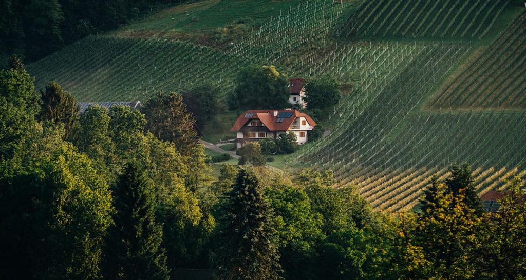 Apartment direkt am Weingut Garber - B&B Etzendorf