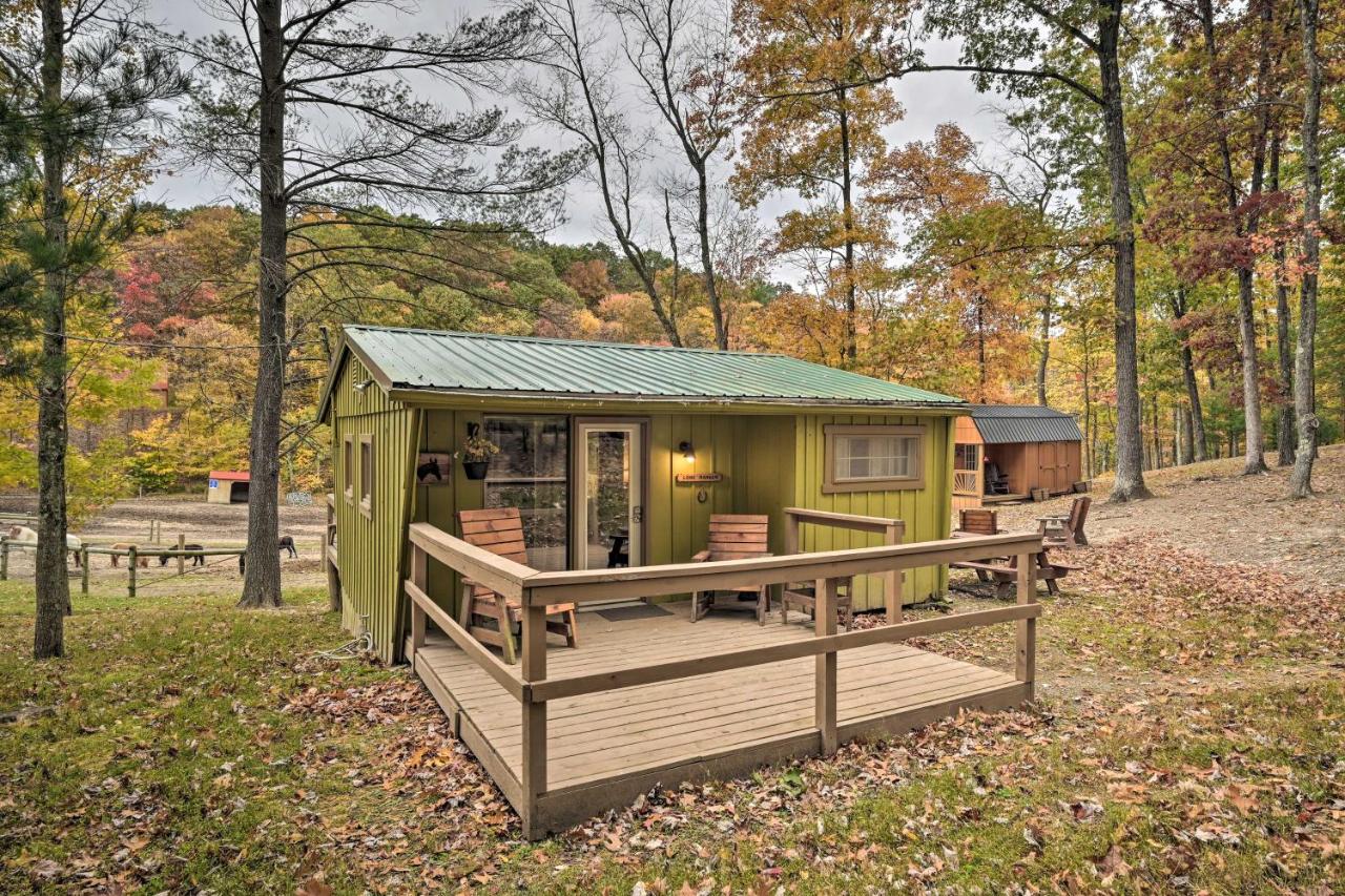 Lone Ranger Cabin by Raystown Lake - B&B Huntingdon