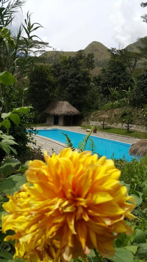 Araplay Lodge - B&B Santa Teresa
