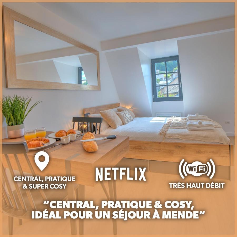B&B Mende - Le Rustique - Netflix/Wi-fi Fibre - Séjour Lozère - Bed and Breakfast Mende