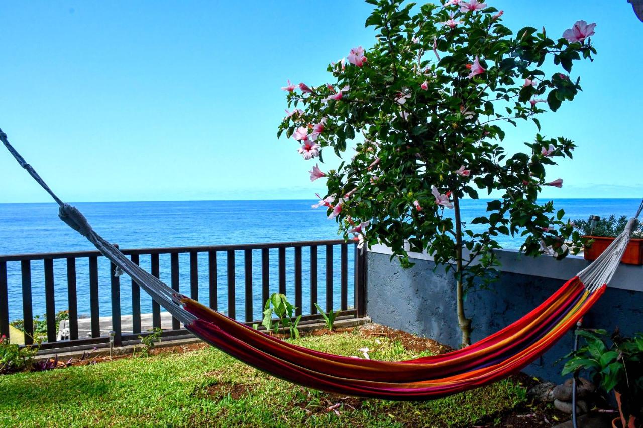 Bluehouse Paradise Right by the Sea - B&B São Vicente
