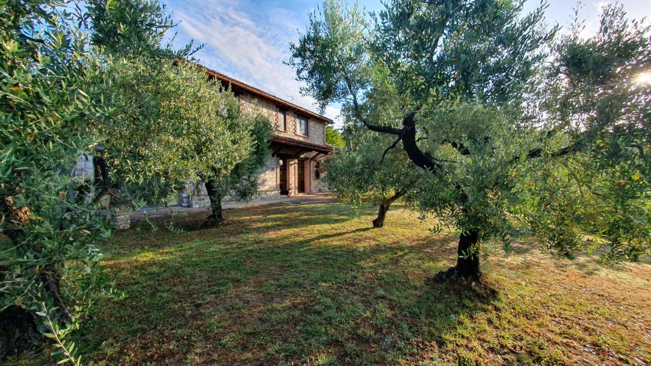 La Bandita Cottage - Ferienwohnung San Venanzo
