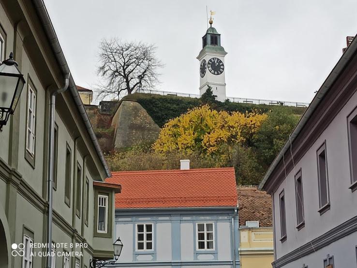 Zlatica Petrovaradin - Chambres d’hôtes