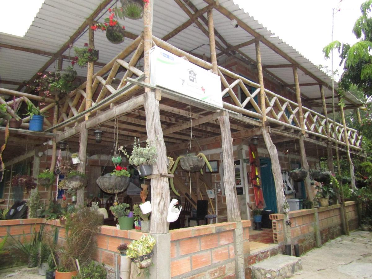 Alojamiento rural pájaros y flores - B&B Andes