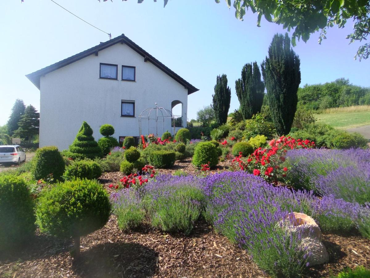 B&B Beuren - Ferienwohnung Hochwald - Bed and Breakfast Beuren