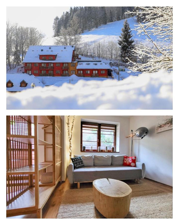 B&B Žacléř - Apartmán Na Svahu, Krkonoše - Bed and Breakfast Žacléř