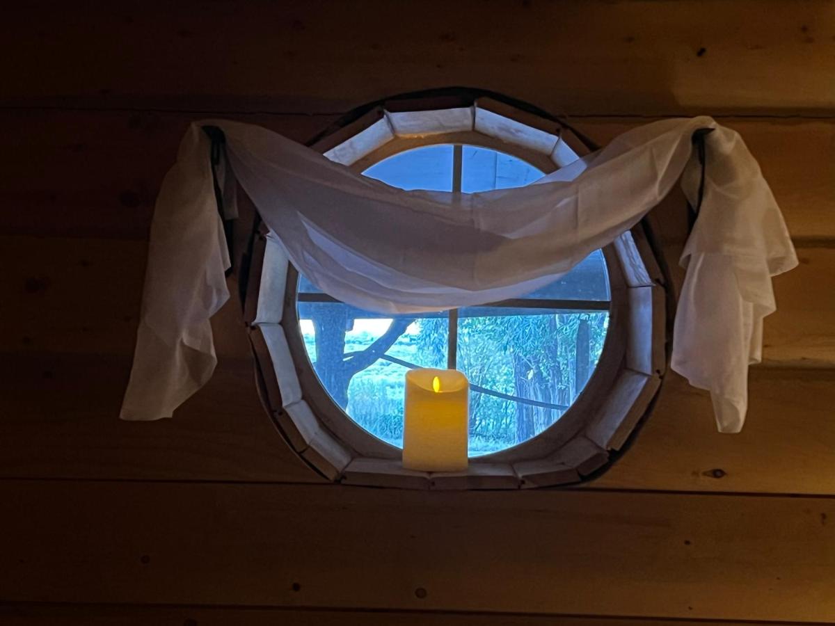 The Gratitude Homestay - Ferienwohnung Alamosa