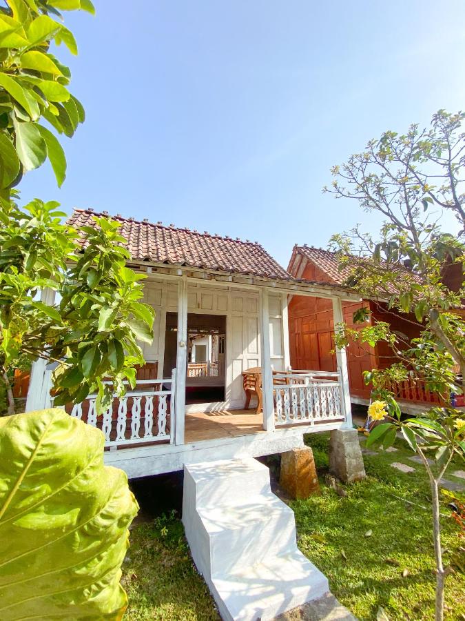 B&B Ngingas - Villa Bangunjiwo - Bed and Breakfast Ngingas