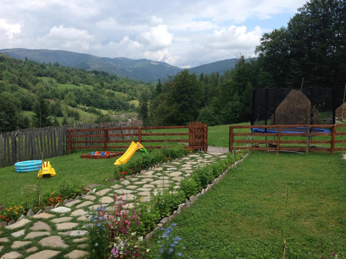 Cabana Valea Floreiului - B&B
