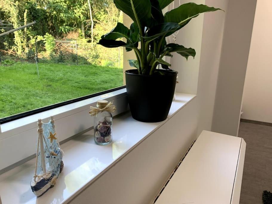 Entspannen am Großen Goitzschesee inkl. Netflix - Ferienwohnung
