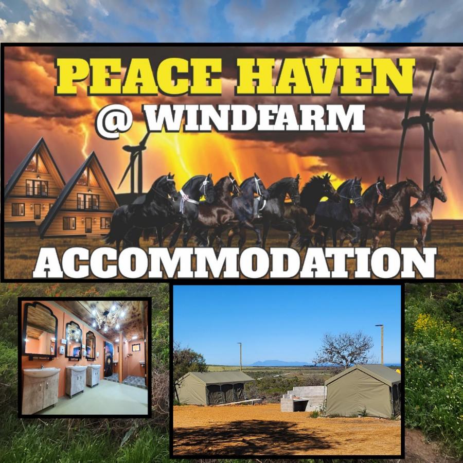 B&B Yzerfontein - Peace Haven @ Windfarm Accommodation - Bed and Breakfast Yzerfontein