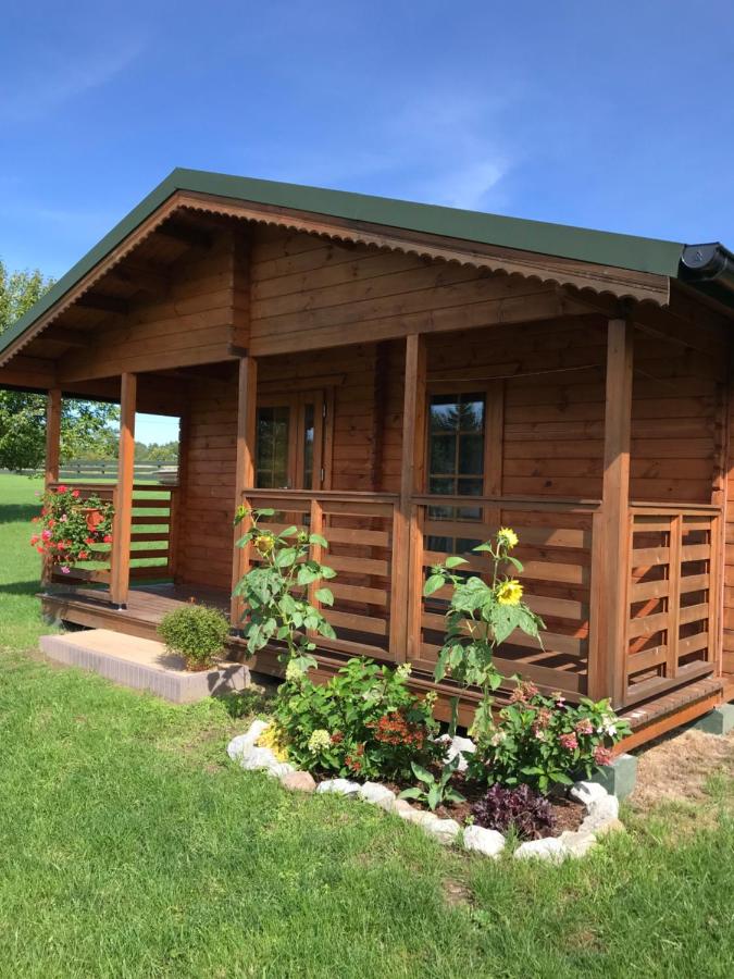 Pod Dziką Jabłonią - Ferienwohnung Debina
