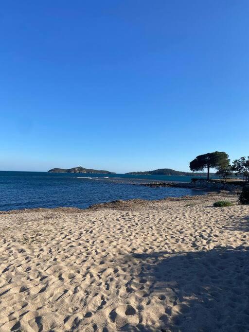 Appartement proche de la plage de Vardiola - B&B Zonza