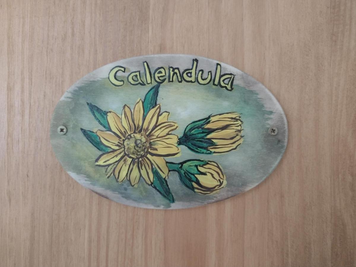 Camera Matrimoniale Standard