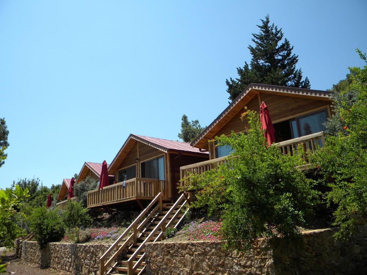 Azra Villas - Ferienwohnung