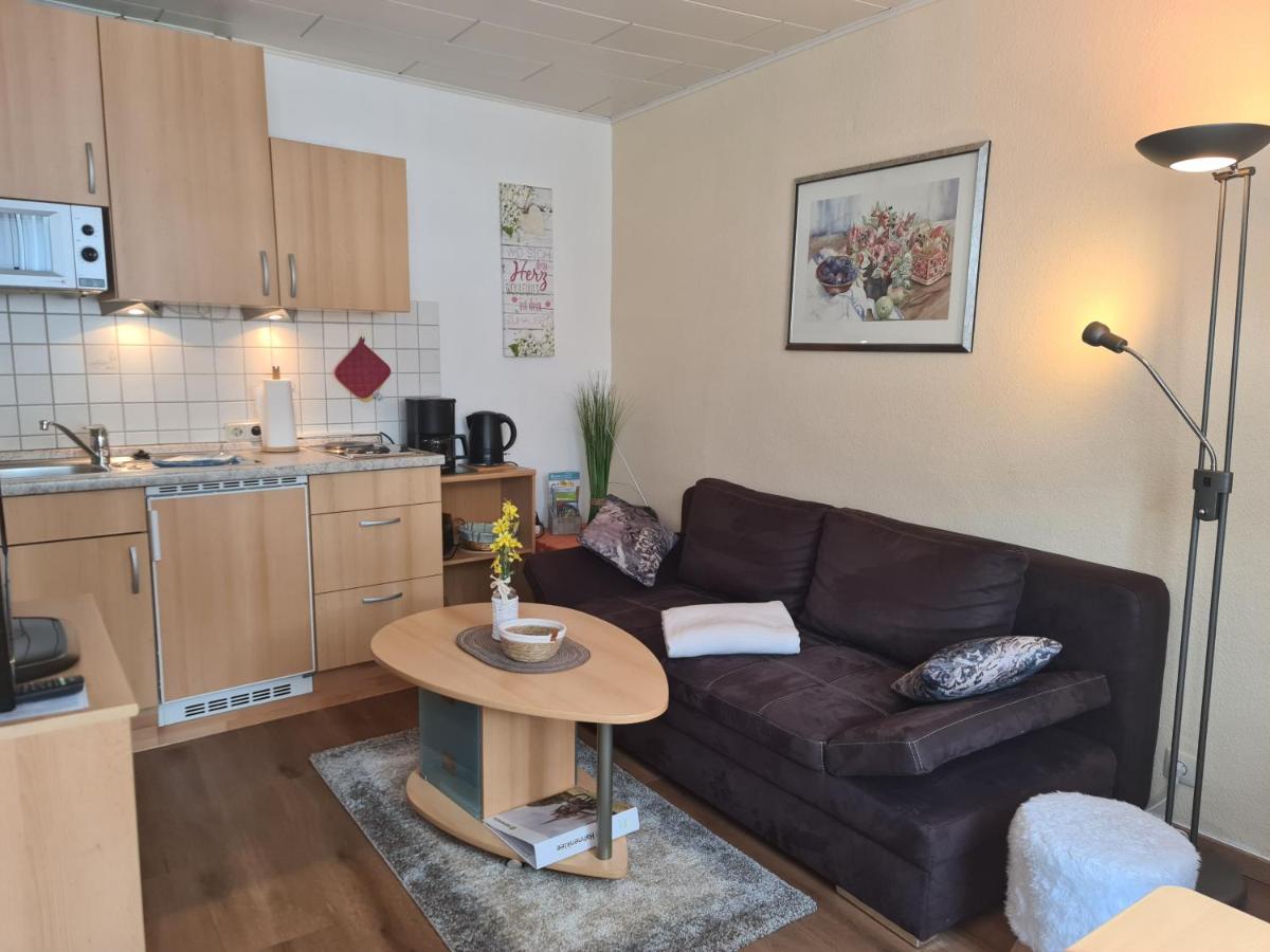 Appartement 1 Chambre