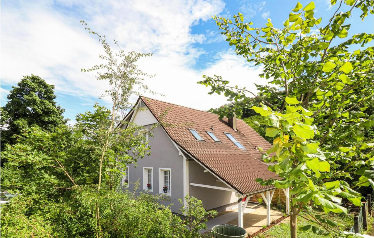 B&B Hirtenberg - Pet Friendly Home In Hirtenberg With Kitchen - Bed and Breakfast Hirtenberg