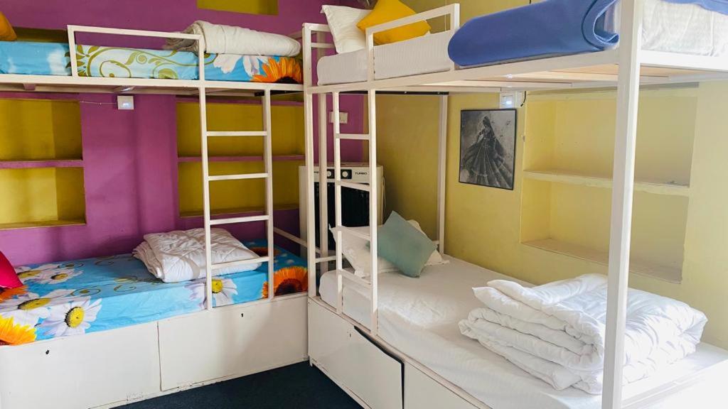 6-Bed Mixed Dormitory Room