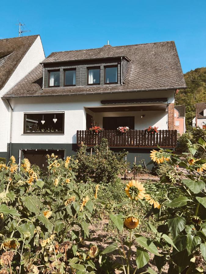 Ferienwohnung Moselflair mit direktem Blick auf die Mosel und Weinberge - B&B Oberfell