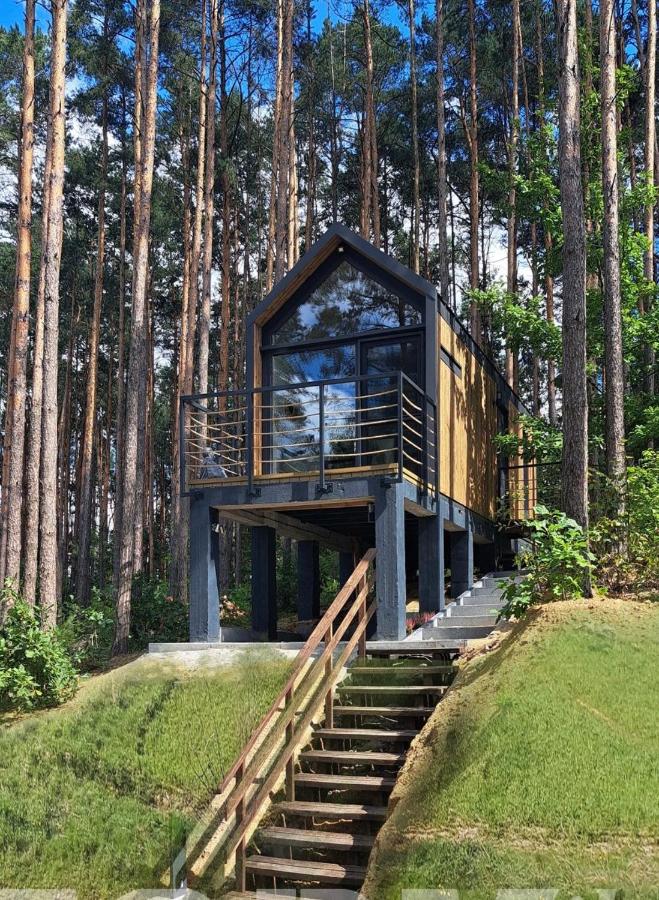 Domek w Koronach Drzew - B&B