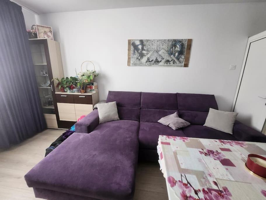 B&B Sofia - Apartment near to airport - Bed and Breakfast Sofia