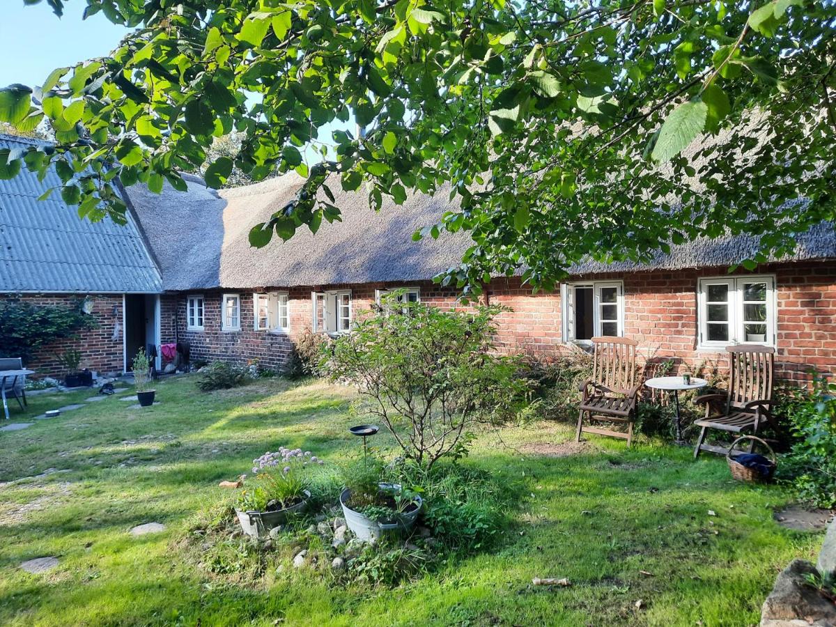Ringkøbing Fjord B&B - Ferienwohnung