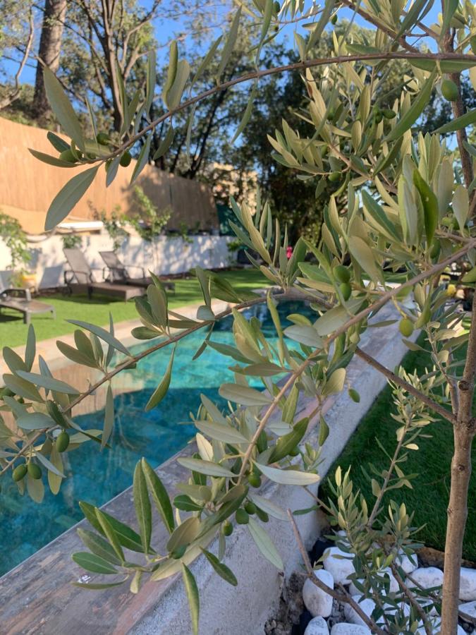 B&B Marseille - Un jardin en ville - Bed and Breakfast Marseille