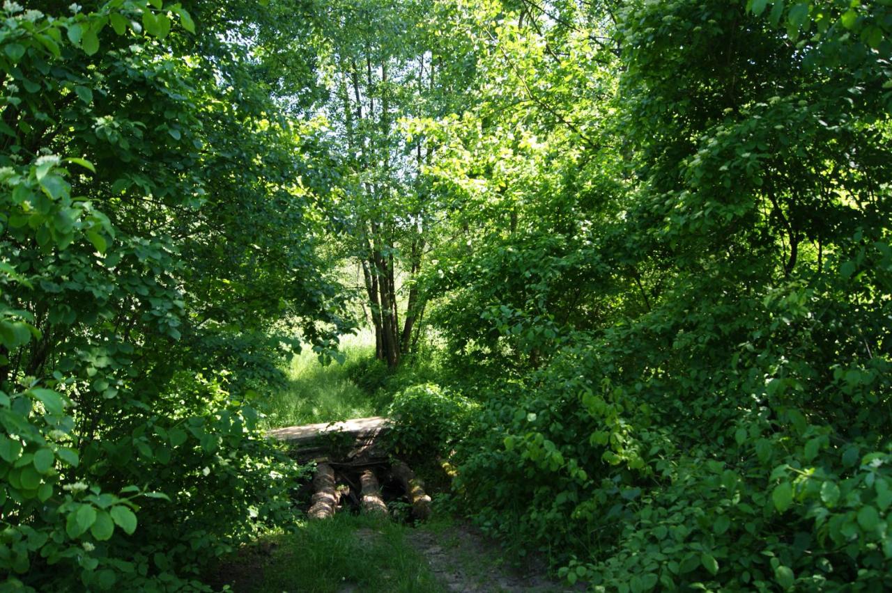 Kurpiowska Chatka - B&B Stanisławowo