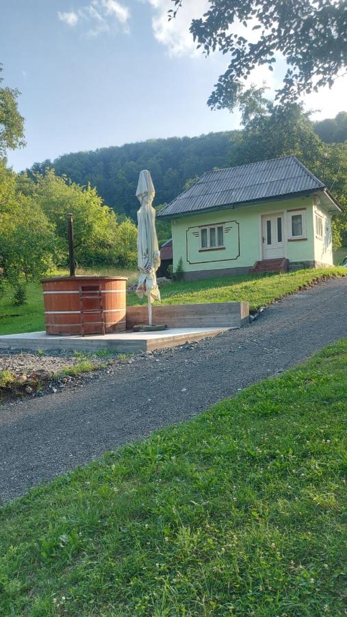 Cabana Ciupercuța - B&B Baia Mare