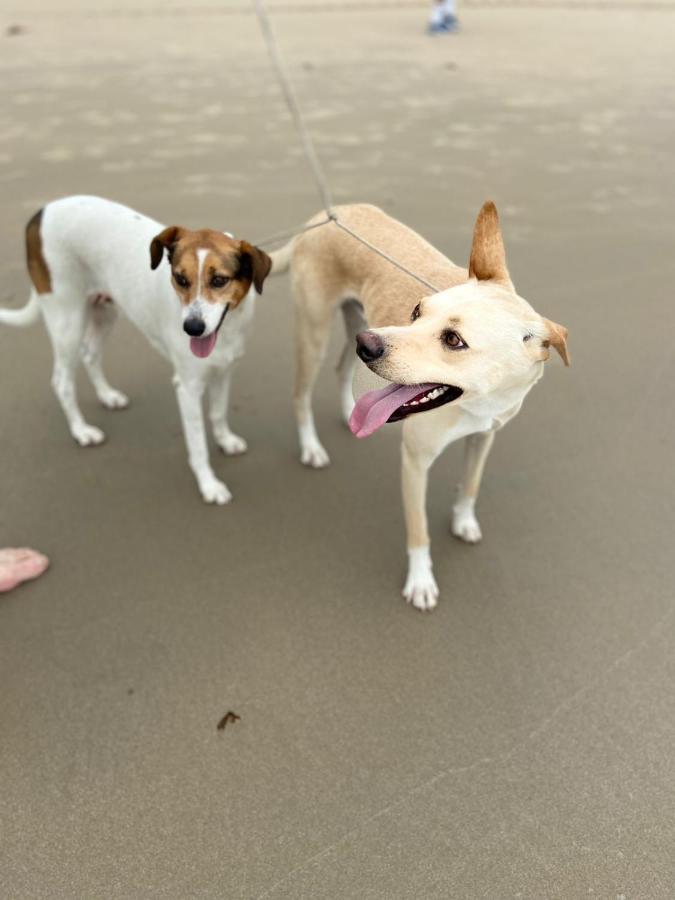 Casa da Ju - Ferienwohnung Penha