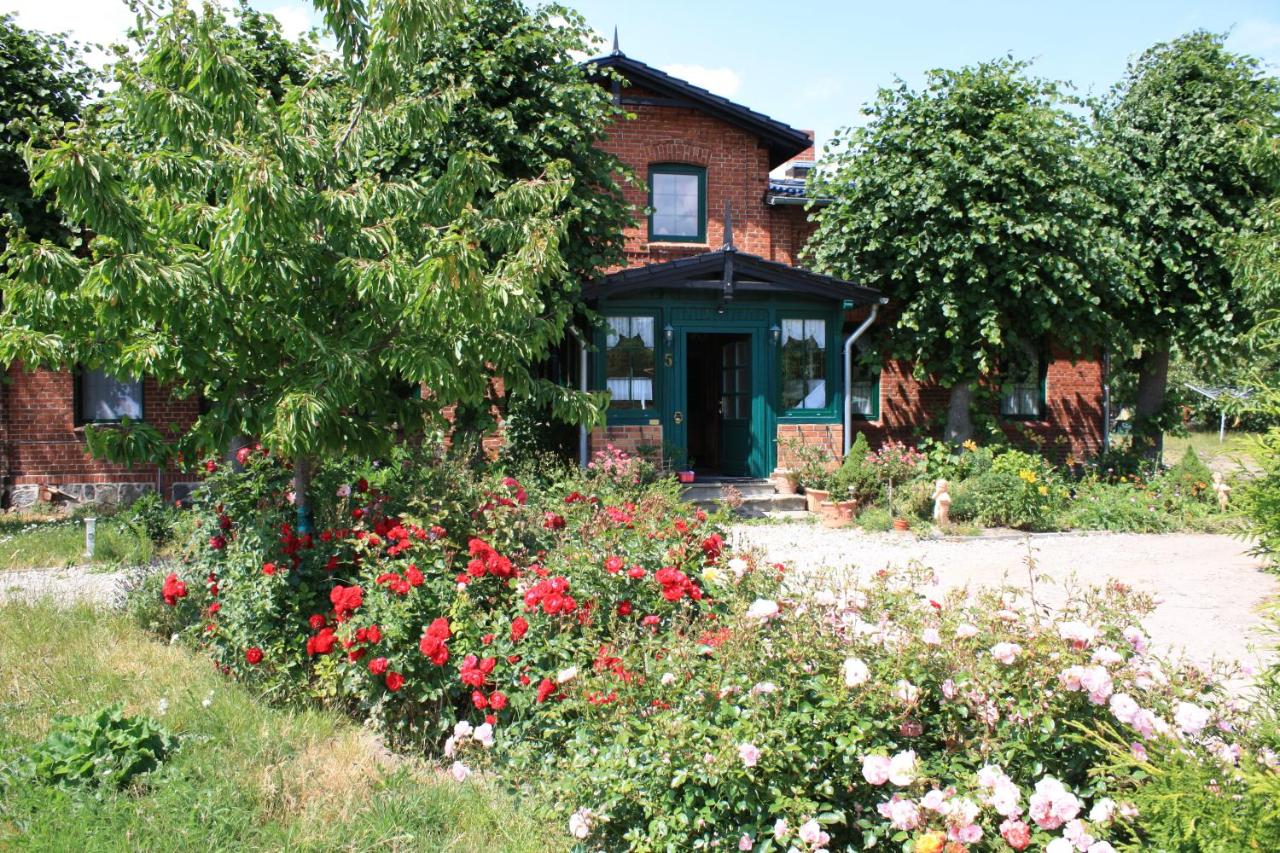 B&B Alt Bukow - Landhaus Questin - Bed and Breakfast Alt Bukow